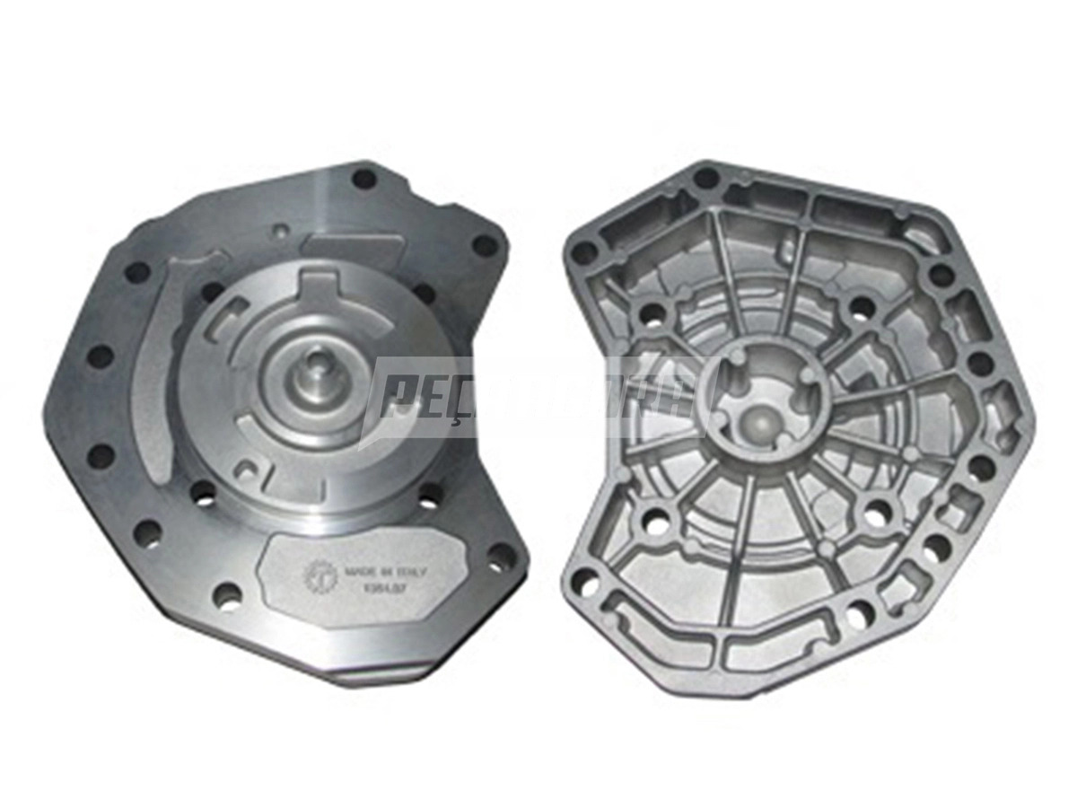 CARCACA NO ESTADO (6110C)