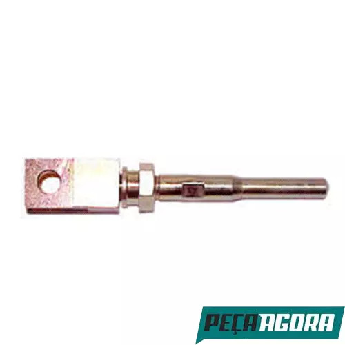HASTE CILINDRO COMPLETO COM PORCA E GARFO PARA SCANIA F112 R112 (538776)
