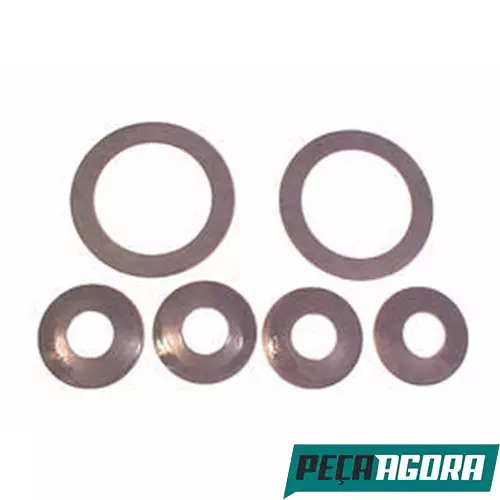 JOGO ARRUELAS PLANTARIA 2 SATELITE 4 PARA SCANIA RP831 (1377975X)