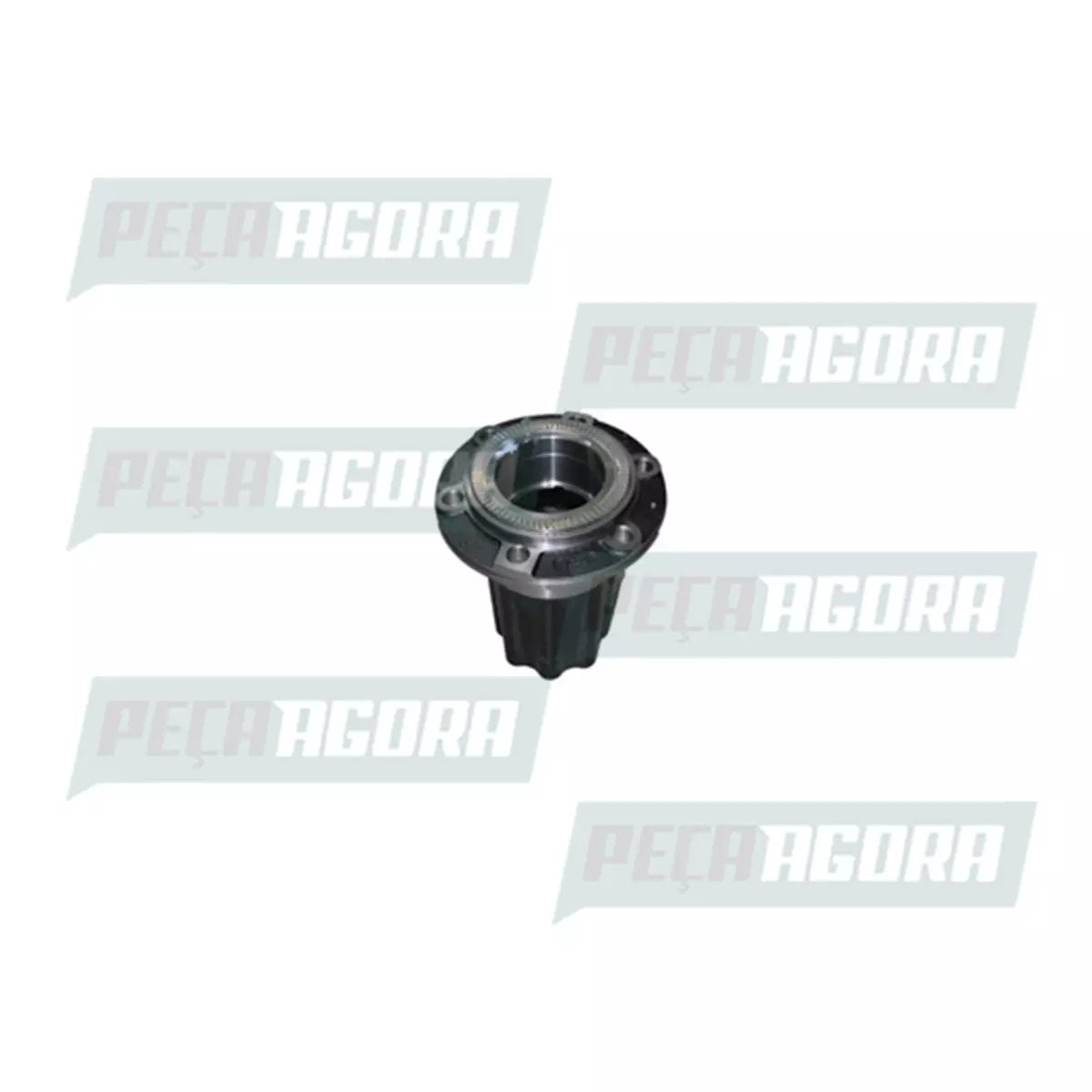 CUBO RODA TRASEIRO (C/ FREIO ABS) (6020009139009,)