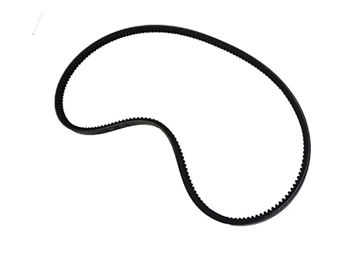 CORREIA SIMPLES V (0039970592-G)