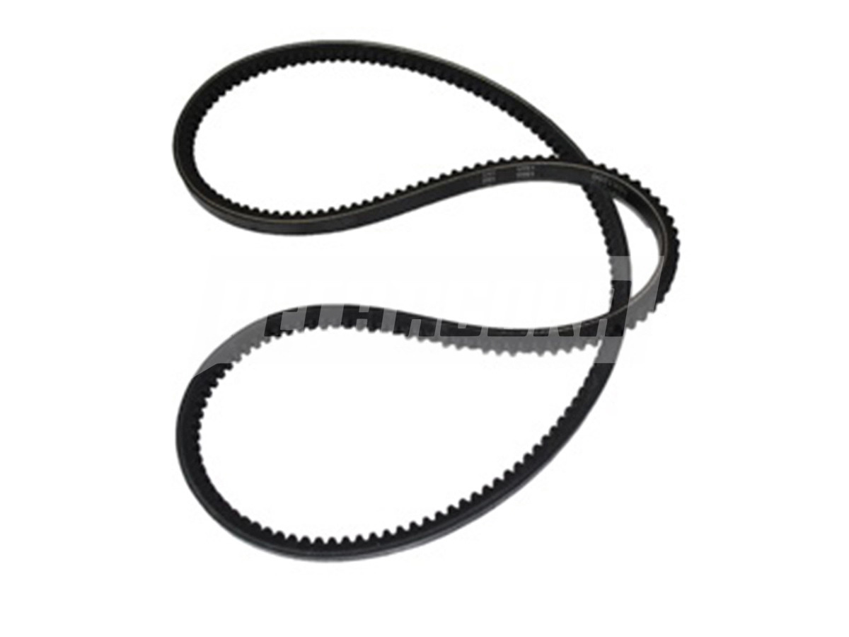 CORREIA V (T111217259)