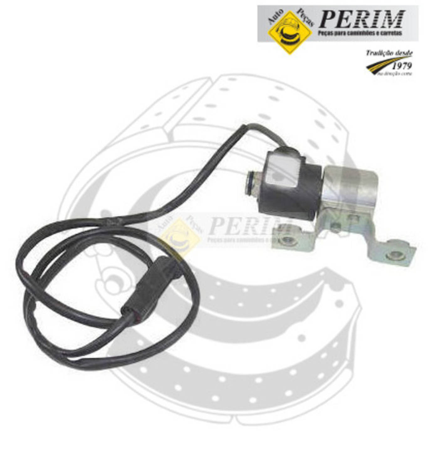 VALVULA SOLENOIDE 12V - 1/4 NPT - 1050MM (VA3963-2793)