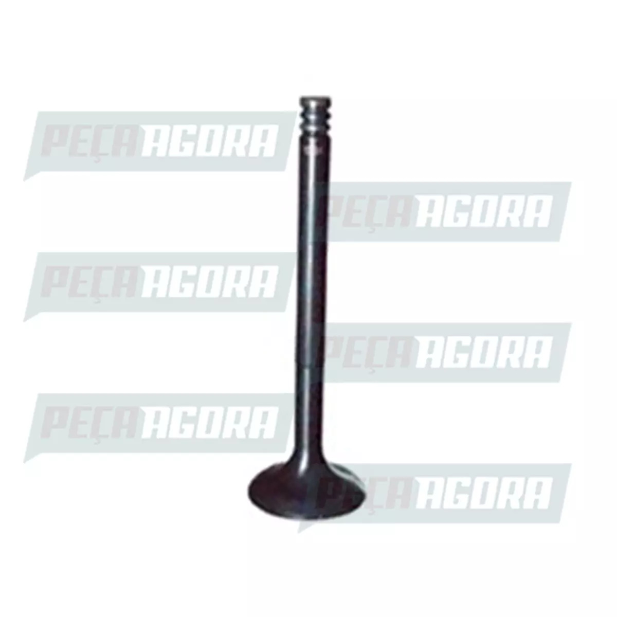 VALVULA ESCAPE (VI558-444)