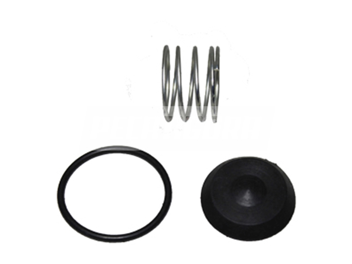 REPARO VALVULA DESCARGA RAPIDA MODERNA (VC555-6821)