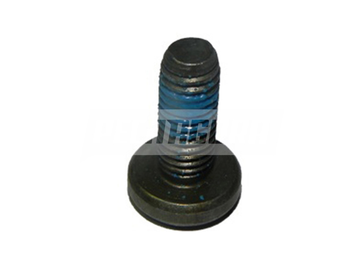 PARAFUSO 9.5 M6X16  FIXACAO ESPELHO RETROVISOR EXTERNO (VA12630-10501)