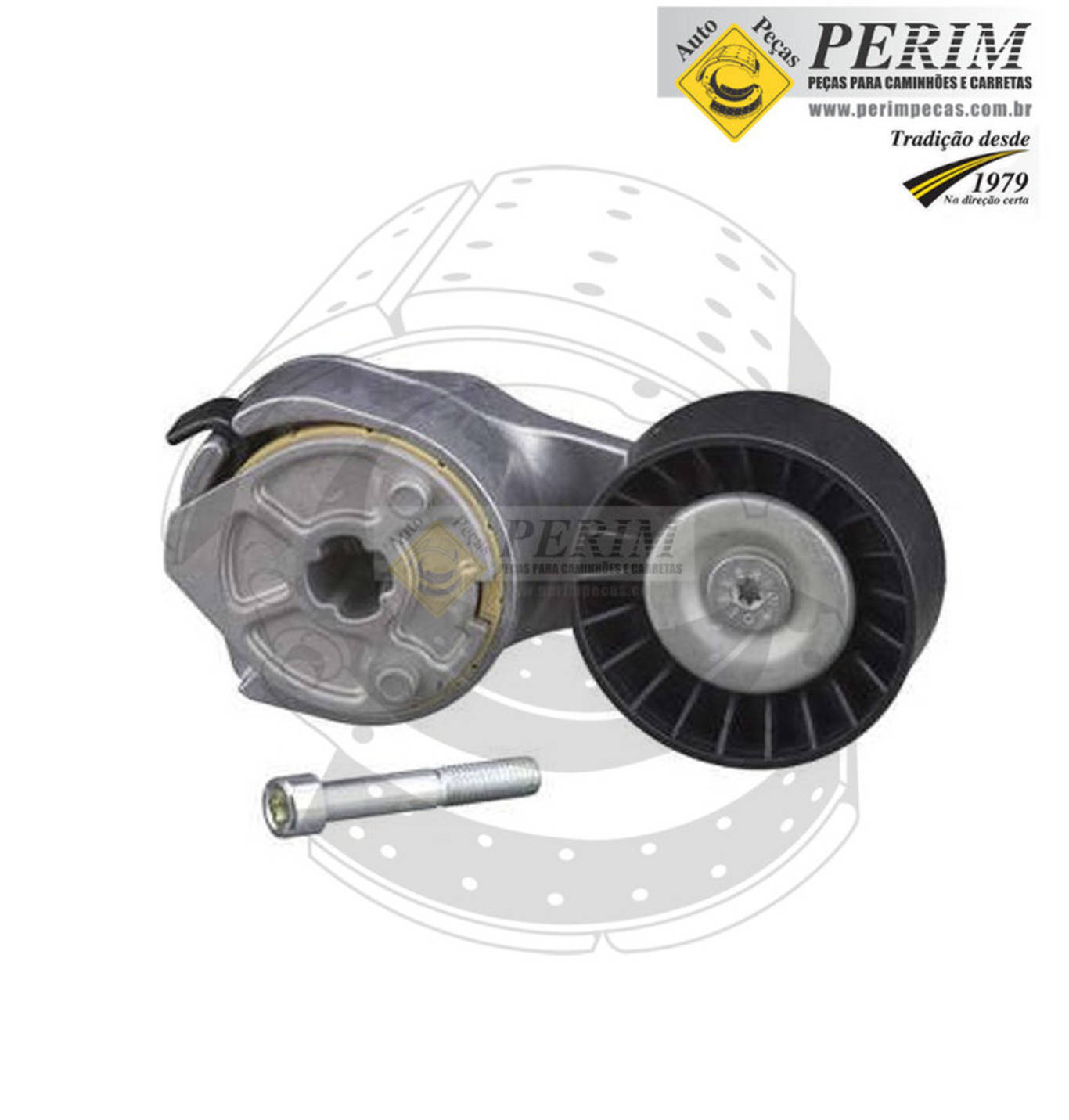 ESTICADOR CORREIA (POLIA NYLON) (2R0145299|.)