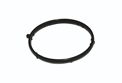 ANEL DE VEDACAO DA CAMISAANEL DE VEDACAO DA CAMISA - ISF/QSF (23B121041A.)