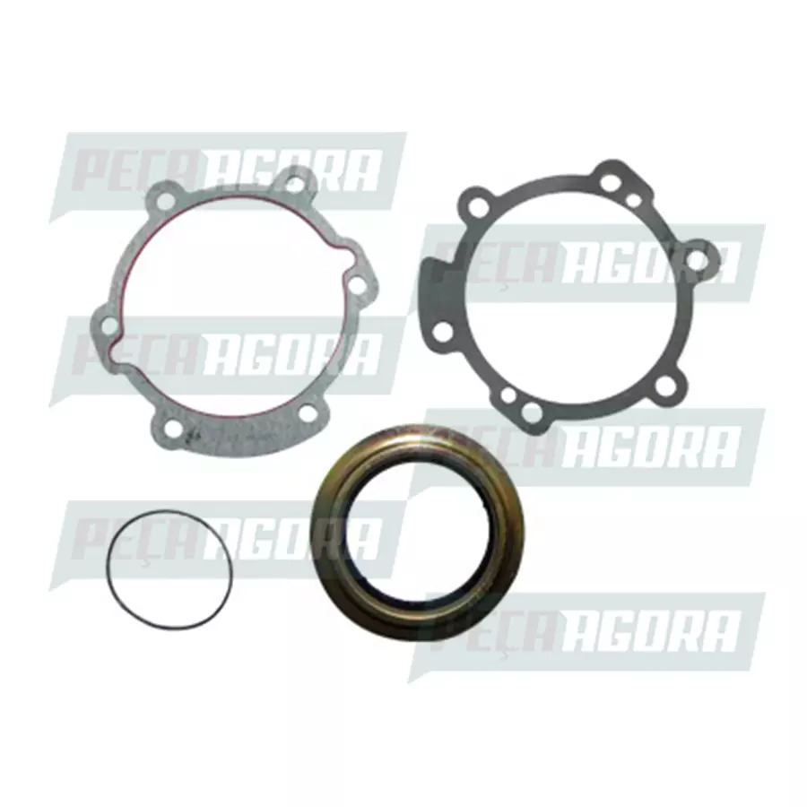 RETENTOR TRASEIRO CAMBIO RT8908 RTLO14918B FTS (BG3X4813AA_)