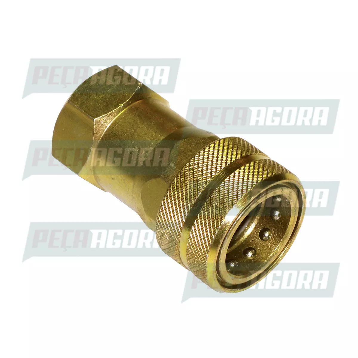 ENGATE HIDRAULICO FEMEA 3/4 (LUB2060H.)