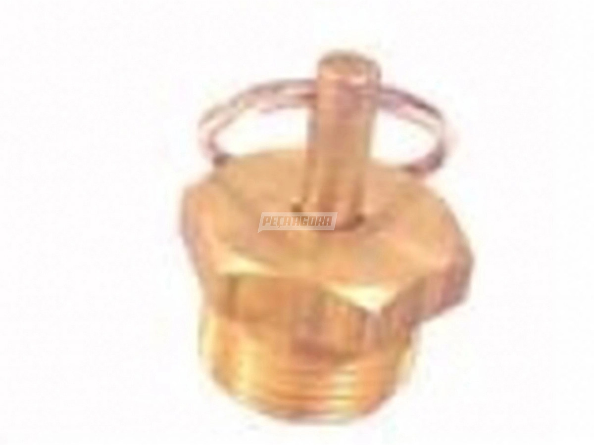 VALVULA DRENO 22 X 1.5 (ACO) MBB PARA SCANIA VOLKS VOLVO CAMINHAO ONIBUS - COM A