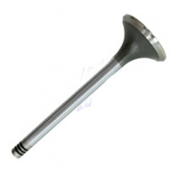 VALVULA ESCAP. MOTOR MWM AGRALE VOLARE W8 W9 MA10 TCE (6013101080007)