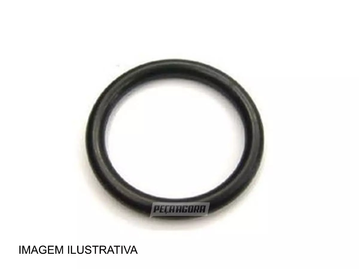 ANEL DE RETENCAO DO EIXO DA ENGRENAGEM D FORD 5031-2831 (BF9X7061AB)