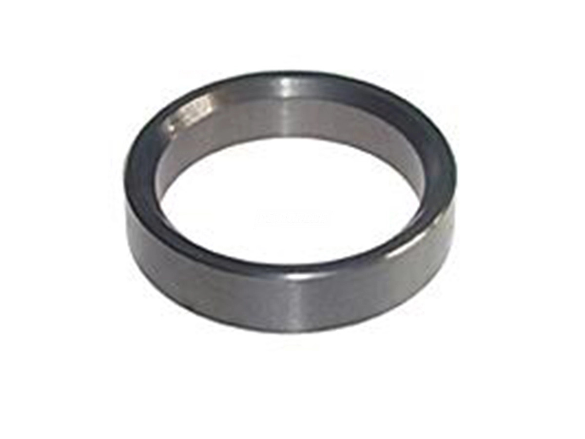 ANEL PISTA CUBO TRASEIRO ( 95,0 X 77,0 X 19,00 ) FUNDIDO (3183560515.)