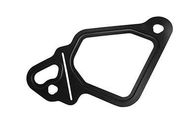 JUNTA LATERAL COLETOR MAN D08 (07W145417_)