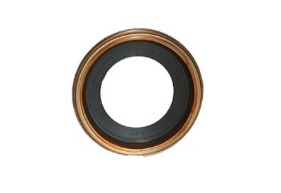 DEFLETOR DE OLEO DO EIXO PILOTO EATON FSO4505 VW AGRALE FORD (2R0301325.)