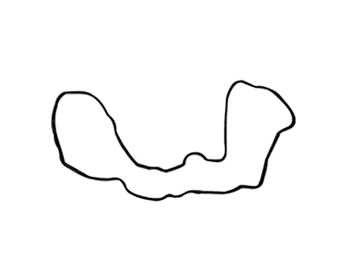 JUNTA TAMPA TRASEIRA (2R0109139)