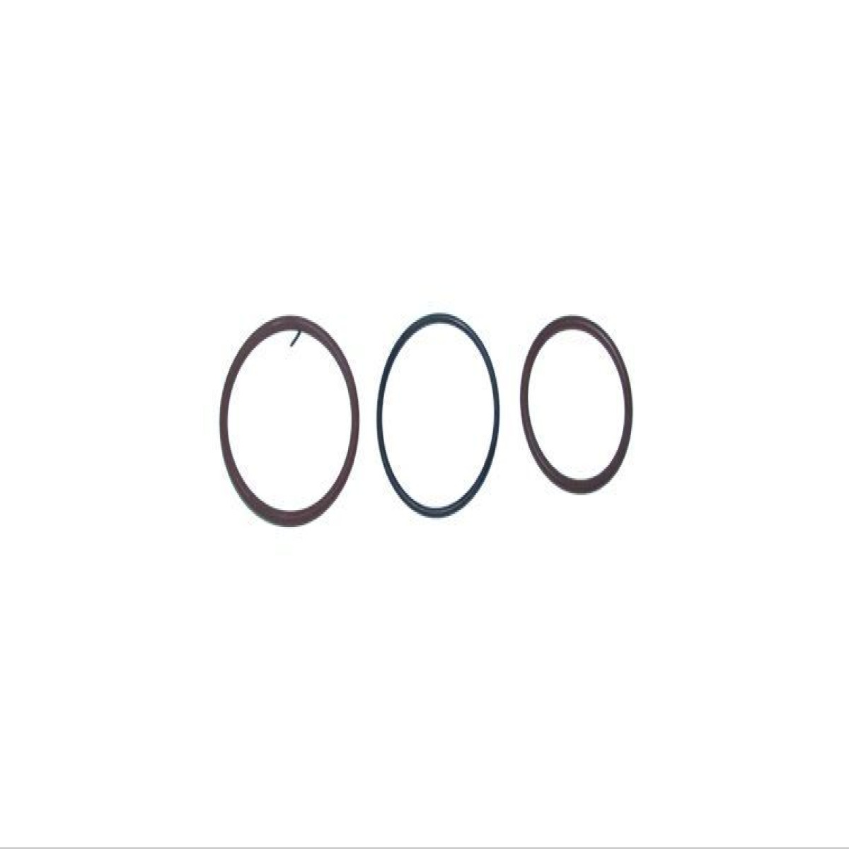 CONJUTO ANEIS VEDACAO UNIDADE INJETORA (504110736)