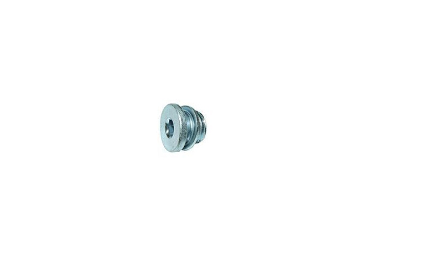 BUJAO BLOCO MOTOR M14 X 1,5MM IVECO DAILY 35S14 45S16 45S17 55C16 55C17 70C16 70