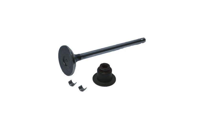 JOGO VALVULA DE ESCAPE FORD VW (23B109611A-BH8T6505AA)