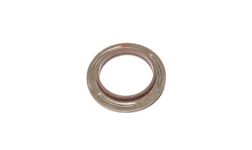 VEDADOR GARFO SAIDA FORD CARGO 1730 2630 2631 4030 (BF5X4813A)