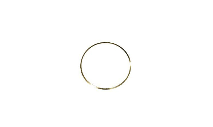 ANEL TOMBAK 0,08 IVECO STRALIS TRAKKER CURSOR COM MOTOR CURSOR 9 (504128648.)