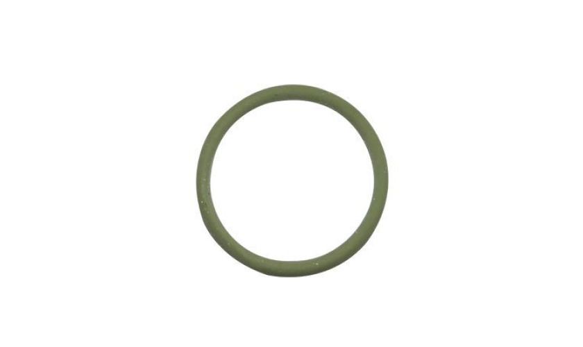 ANEL VEDACAO BOMBA OLEO MAN TGX (07W115647.)