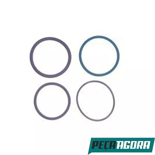 KIT ANEL BICO INJETOR VOLVO FH FM NH (276948F)