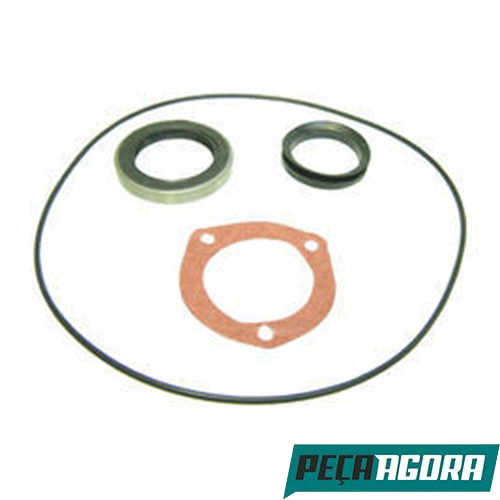 REPARO MORINGA SCANA 112 113 (550521)