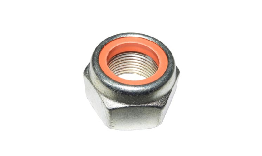 PORCA DO PINHAO (2RD525853.)