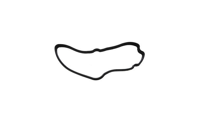 ANEL DA TAMPA DE ENCHIMENTO ISF 2.8 (23B109091A)