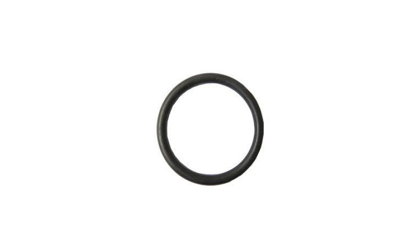 ANEL ORING (3279970145.)