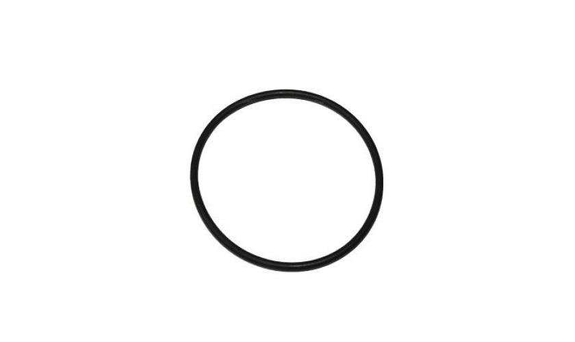 ANEL DE VEDACAO DA VALVULA TERMOSTATICA (2VC121495)