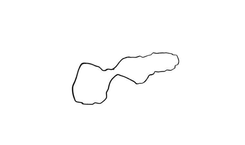 JUNTA CARTER BORRACHA CARTER PLASTICO (9040140722,)