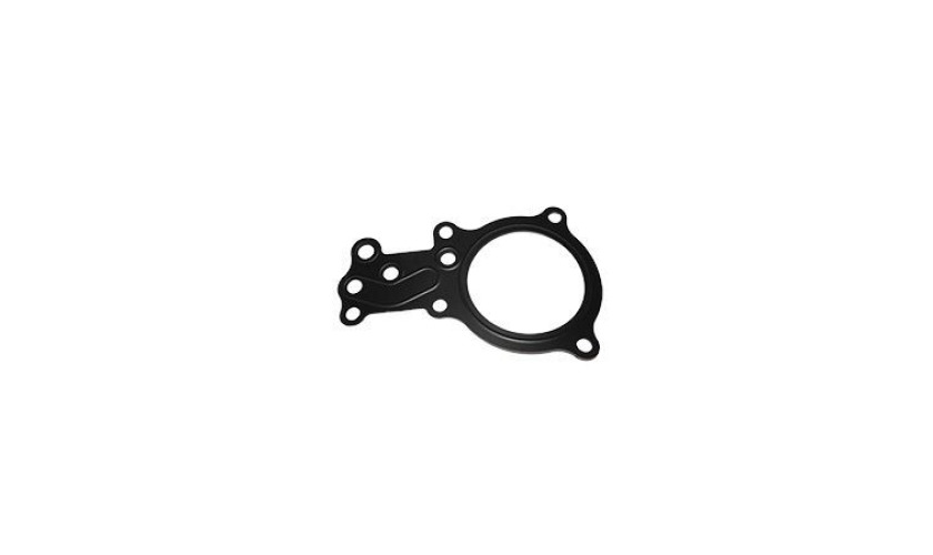 JUNTA TAMPA FREIO MOTOR (504045790)