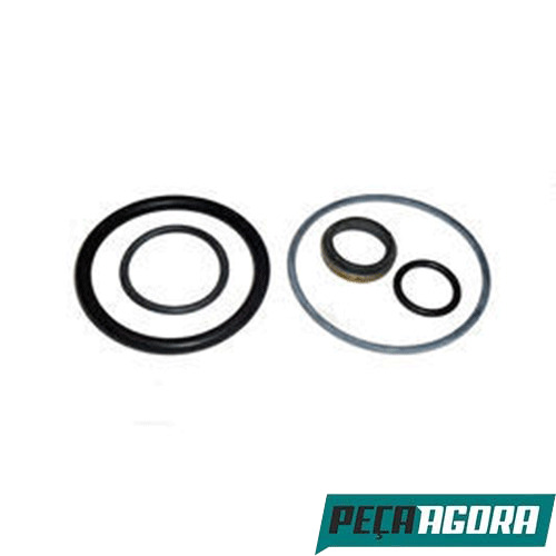 REPARO CILINDRO ACIONAMENTO PLANETARIO PARA SCANIA T113 (1321420H)