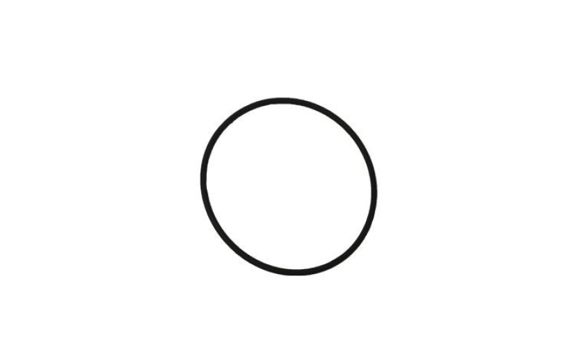 ANEL VEDACAO COLETOR ADMISSAO FORD F350 F4000 2014 DIANTE (BH3T6C653CA)