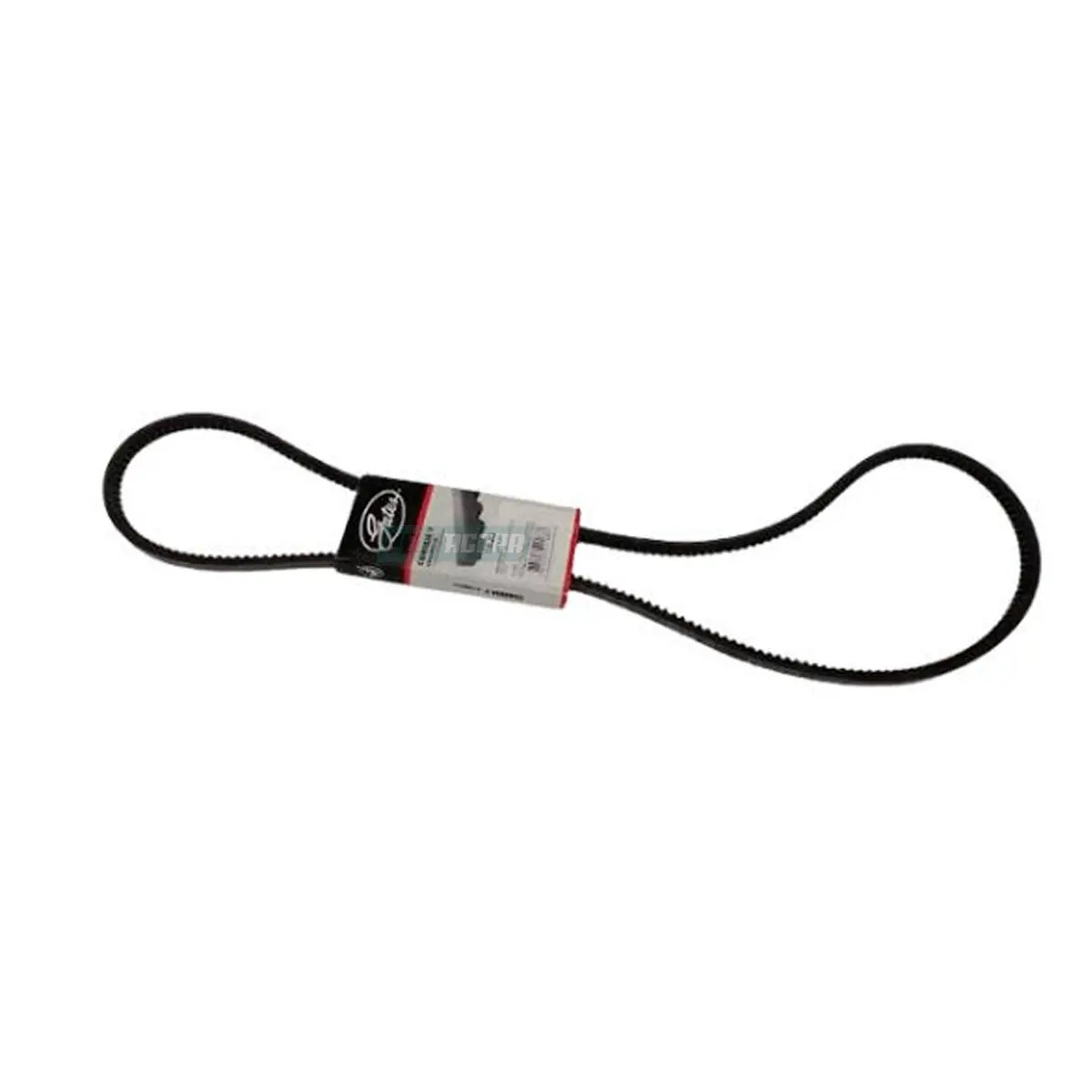 CORREIA SIMPLES (0059972892-9)