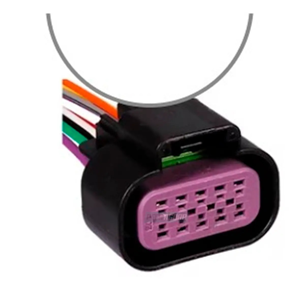 PLUG 10 VIAS PEDAL ACELERADOR FORD CARGO 1317 FEMEA (TC1101418)