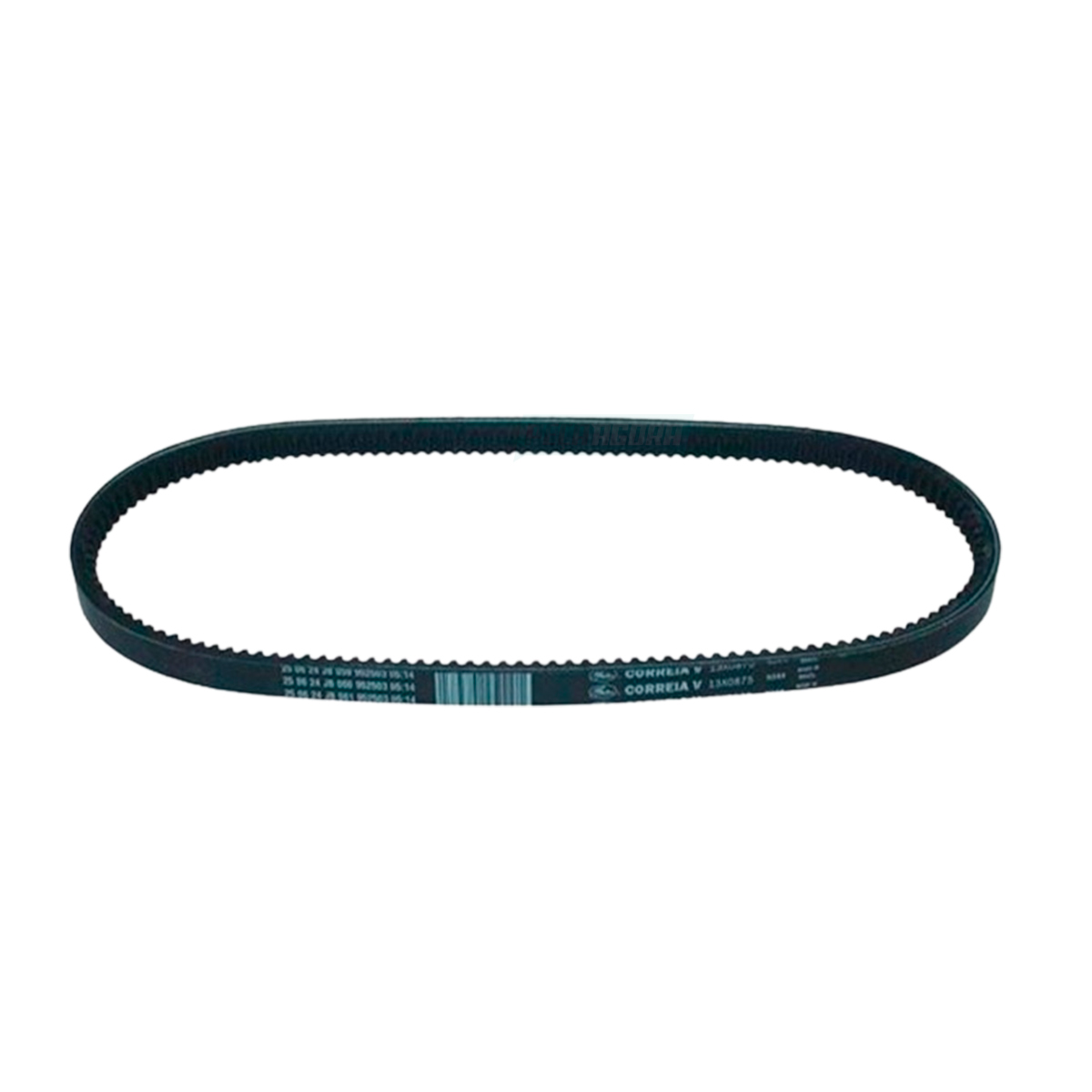 CORREIA MOTOR BA - DH  (0049973692_)