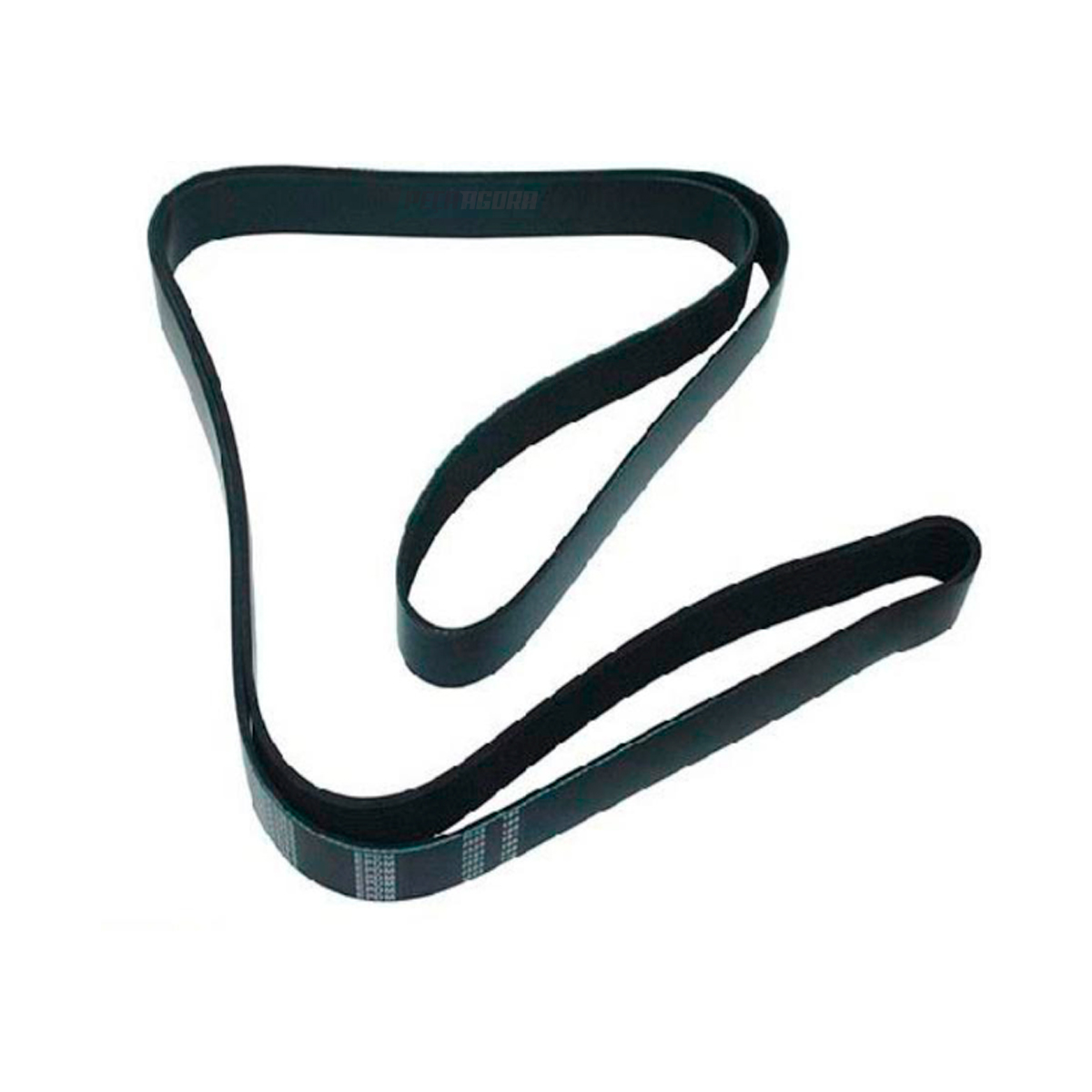 CORREIA 2Z0145933J (2Z0145933J.)