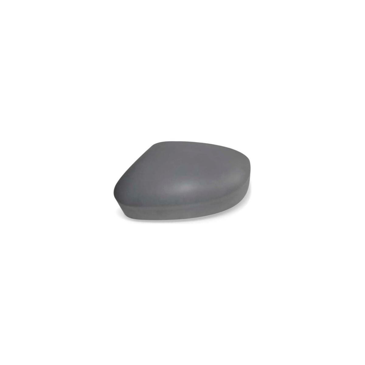 CAPA RETROVISOR ESQUERDO FOCUS 2014 A 2019 (RF24137)
