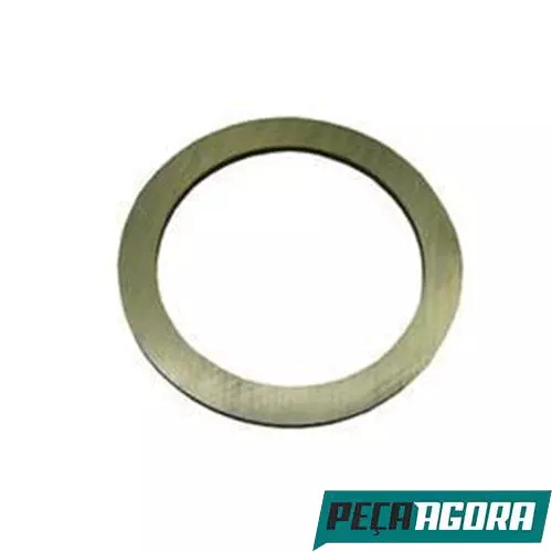 ANEL DISTRIBUIDOR ROLAMENTO PINHAO PARA SCANIA P93 SERIE 4 (21305098)
