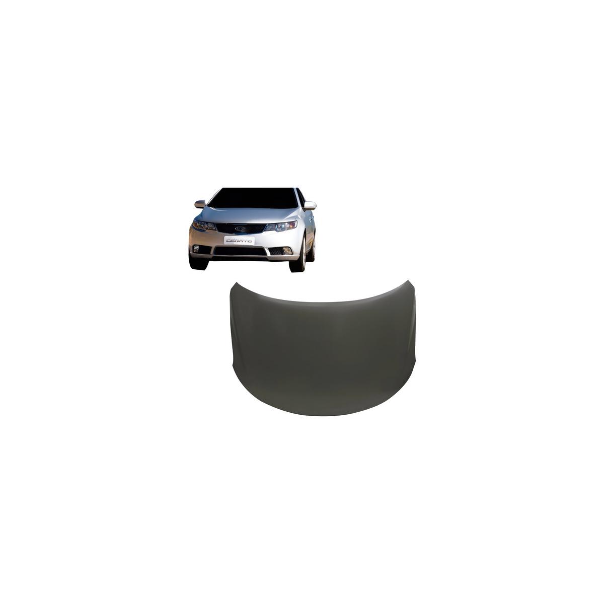 CAPO CERATO 2009 A 2012 (RF23860)