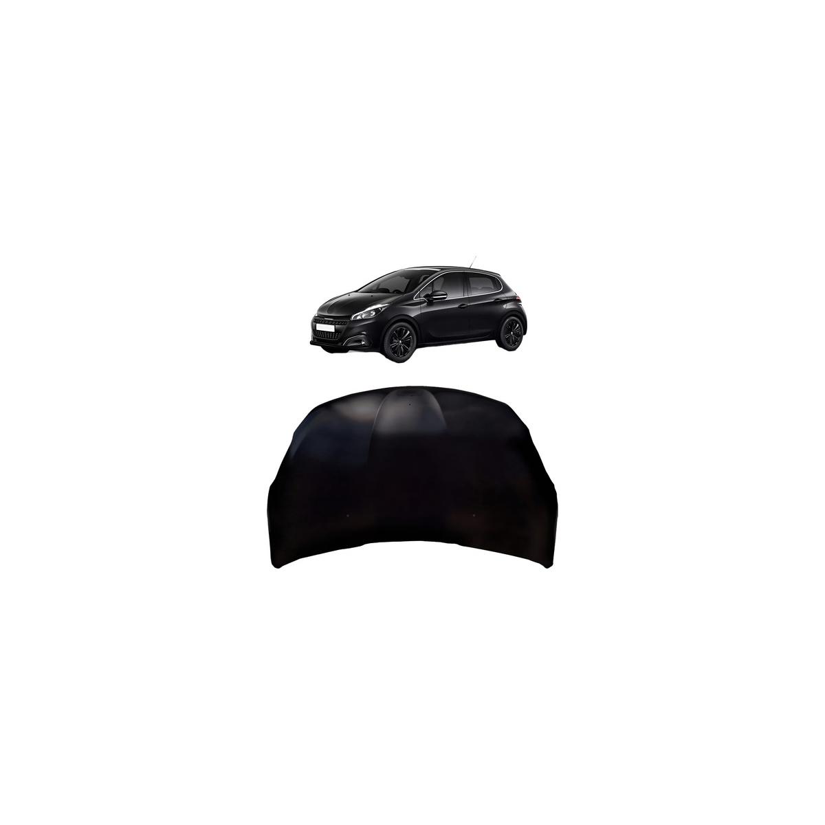 CAPO 208 2012 A 2020 (RF24491)