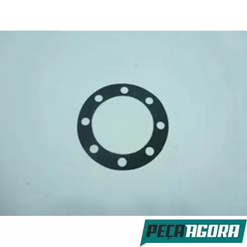 CAIXA 10  JUNTA DO SEMI EIXO TRASEIRO VOLKSWAGEN 6.80 6.90 (CX.B6Y1144A**10)