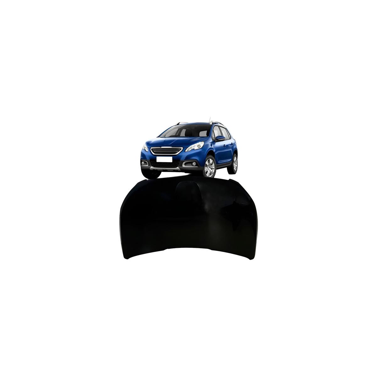 CAPO 2008 2015 A 2019 (RF29629)