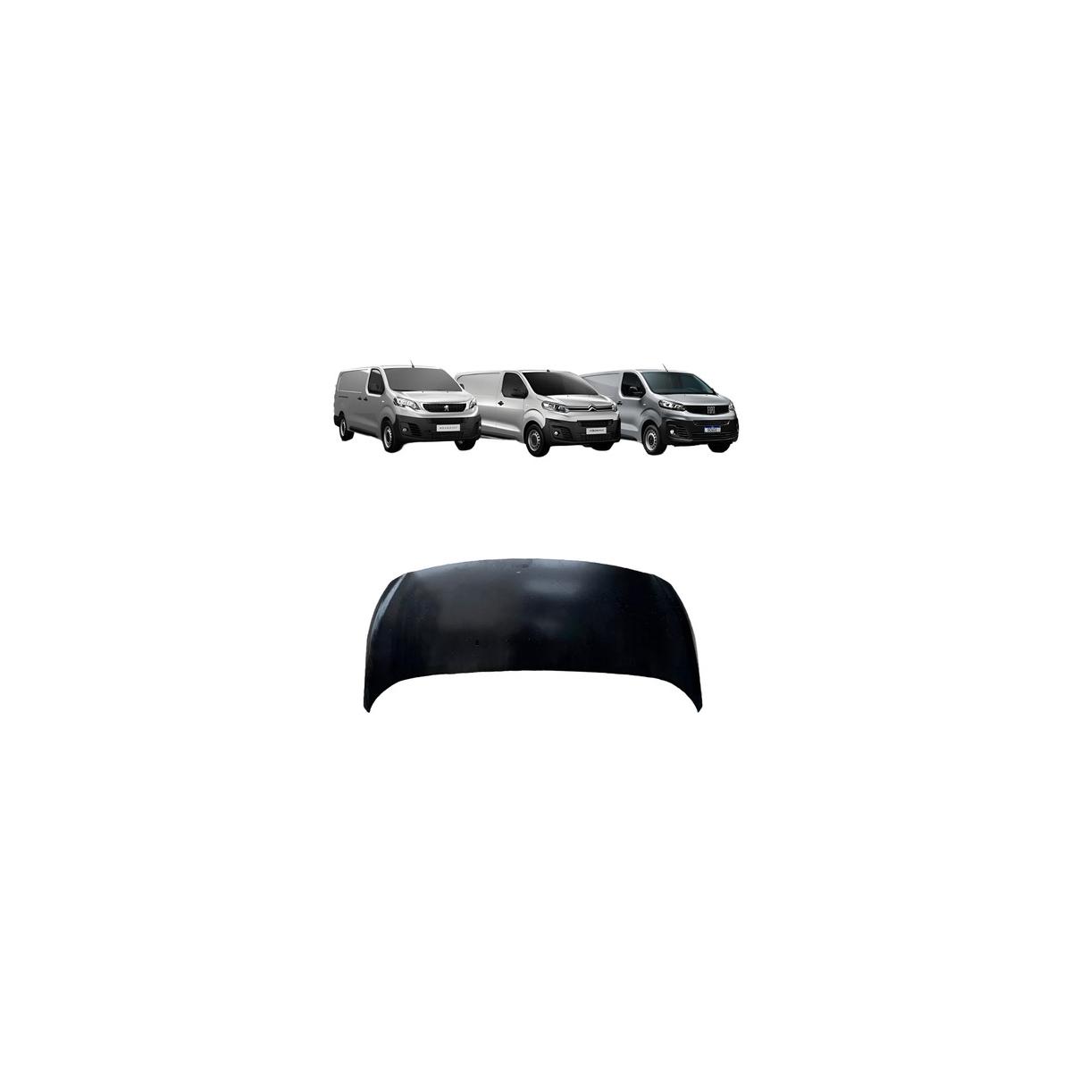 CAPO EXPERT 2018 A 2024 (RF32599)