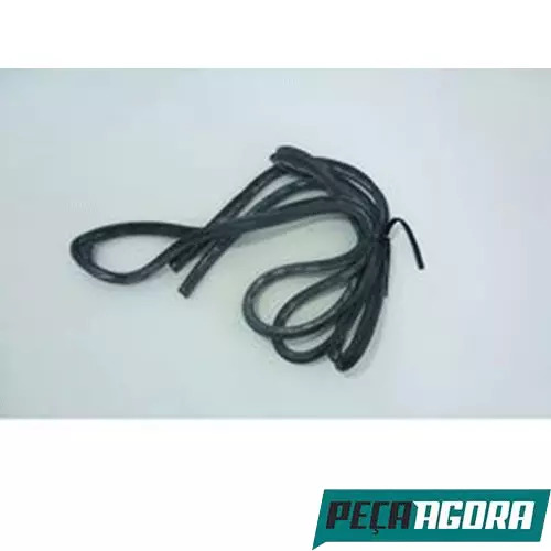 GUARNICAO BORRACHA EXTERNA PORTA ESQUERDA 4,10MTS VOLVO N10 (8125163)