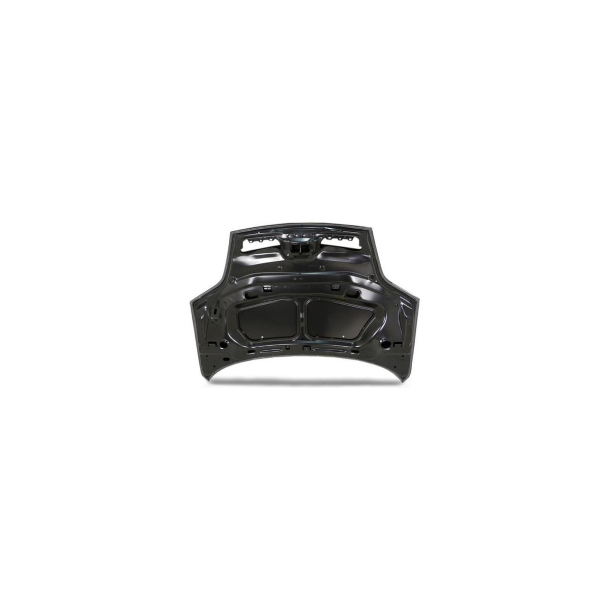 CAPO SCENIC 2008 A 2011 (RF20344)